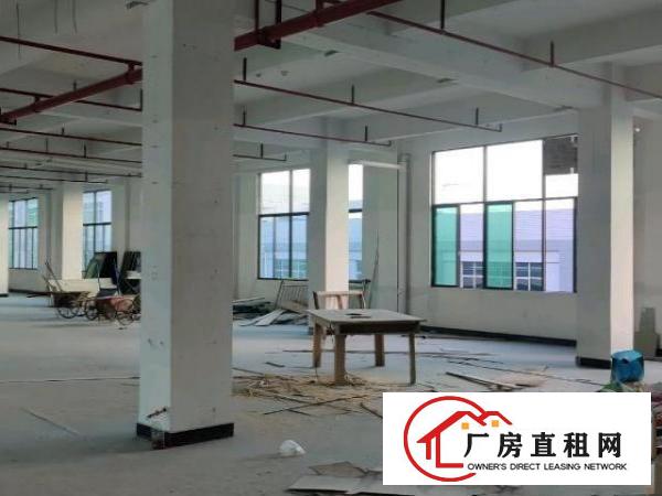  新空出原房东直签合同实用面积无公摊