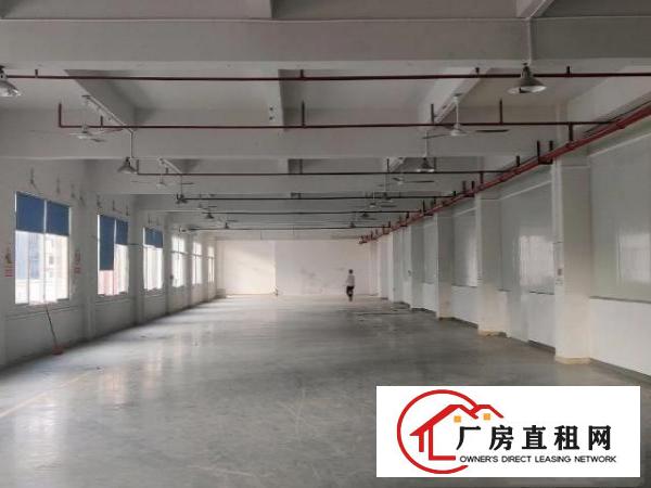  深圳，全新厂房全新地坪漆价格便宜