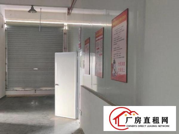  深圳，全新厂房全新地坪漆价格便宜