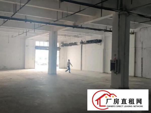  深圳，全新厂房全新地坪漆价格便宜