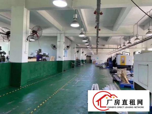  凤岗雁田标准一楼厂房出租1580平精装修办公室可拎包入驻