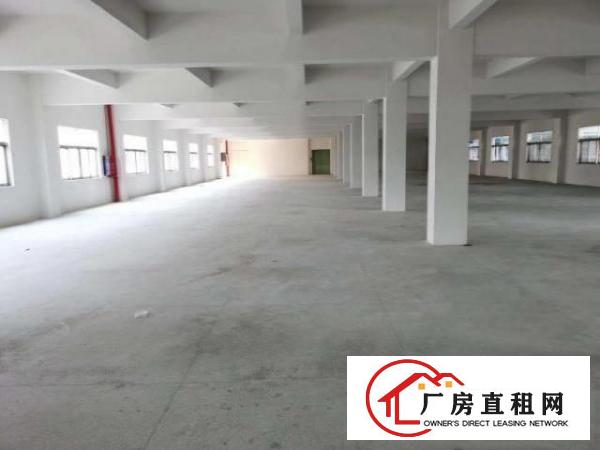  凤岗近深圳独栋厂房出租6000平适合各行业证件齐全