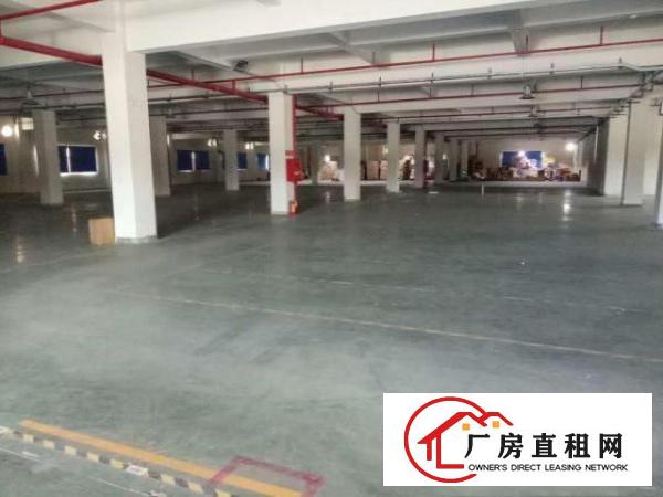  凤岗天堂围独院厂房出租26000平近深圳观兰