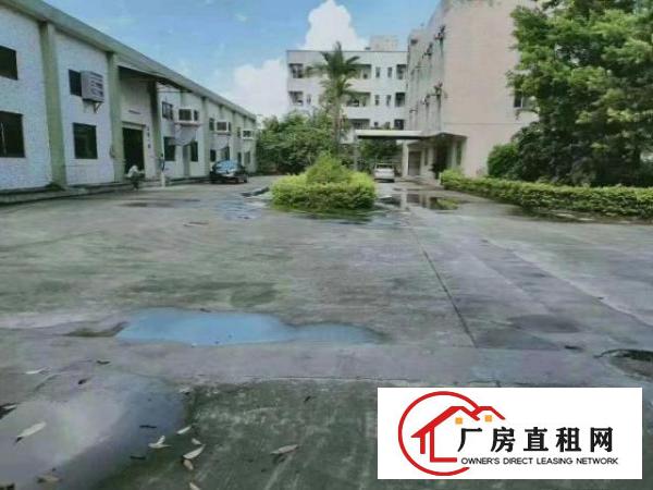  东莞市凤岗镇大小厂房钢结构出租300－10万平方