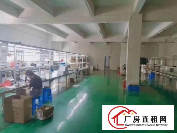  东莞市凤岗镇大小厂房钢结构出租300－10万平方