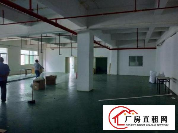  凤岗黄洞玉泉工业区楼上厂房出租1100平电子硅胶纸品加工