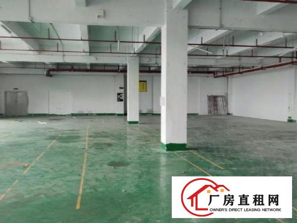  凤岗临深大型工业园，1楼2楼出租