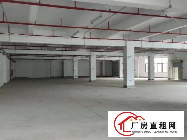  凤岗临深大型工业园，1楼2楼出租