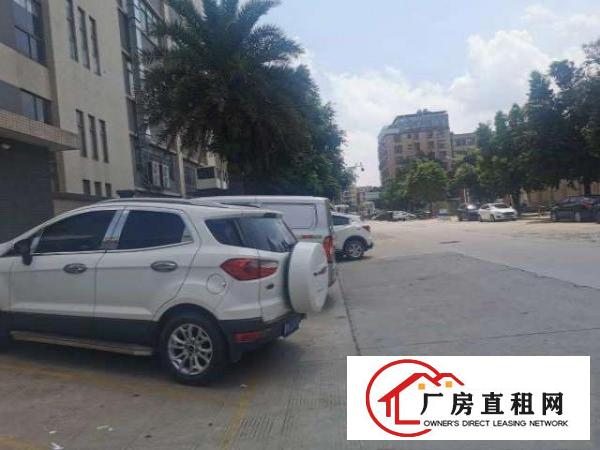  总面积：约24500㎡（实际面积