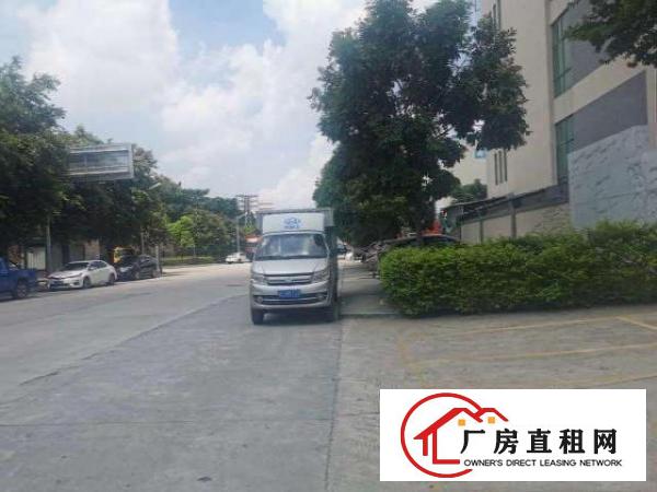  总面积：约24500㎡（实际面积