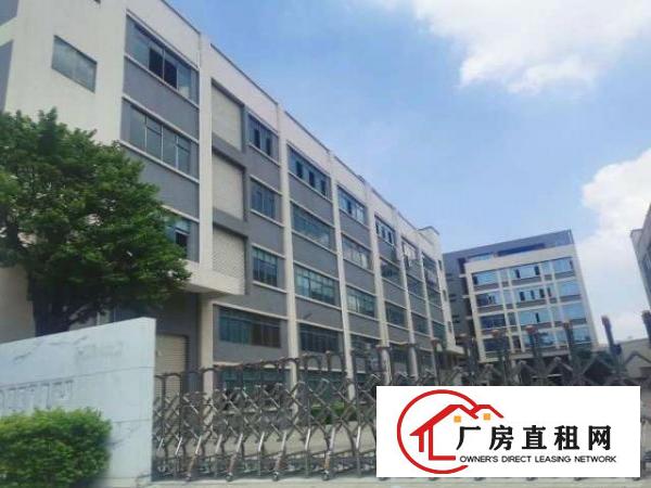  总面积：约24500㎡（实际面积