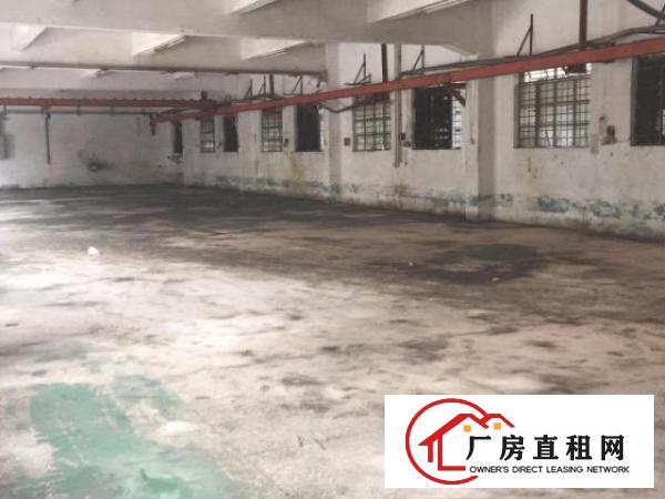  凤岗雁田怡安小独院厂房出租2500平价格便宜
