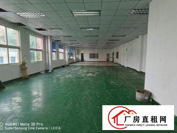  凤岗靠山边独院厂房出租4000平塑胶玩具喷油五金加工