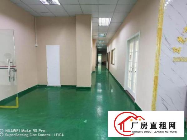  凤岗靠山边独院厂房出租4000平塑胶玩具喷油五金加工