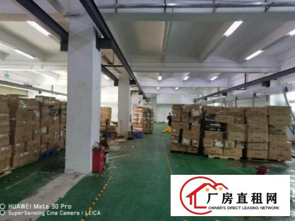  凤岗靠山边独院厂房出租4000平塑胶玩具喷油五金加工