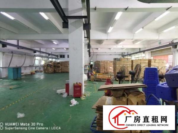  凤岗靠山边独院厂房出租4000平塑胶玩具喷油五金加工