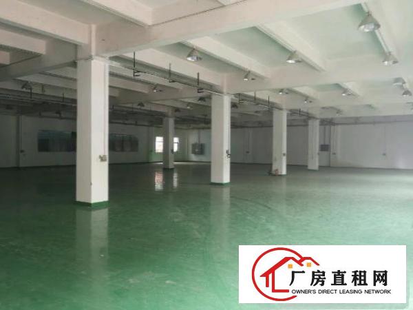  凤岗新出5000平独院厂房出租，临近深圳，可分租