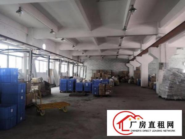  凤岗金凤凰一楼厂房出租1000平塑胶五金模具纸箱