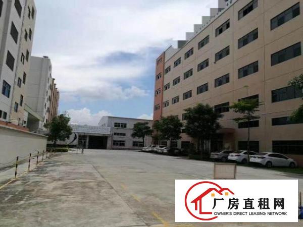 凤岗近观兰大型独院厂房出租22500平天堂围西旺