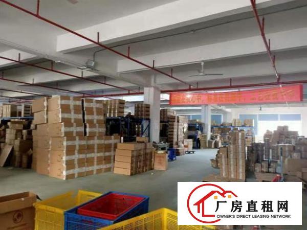  凤岗高速路口电子电商仓库手袋皮具行业厂房出租价格便宜
