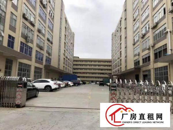  凤岗高速路口电子电商仓库手袋皮具行业厂房出租价格便宜