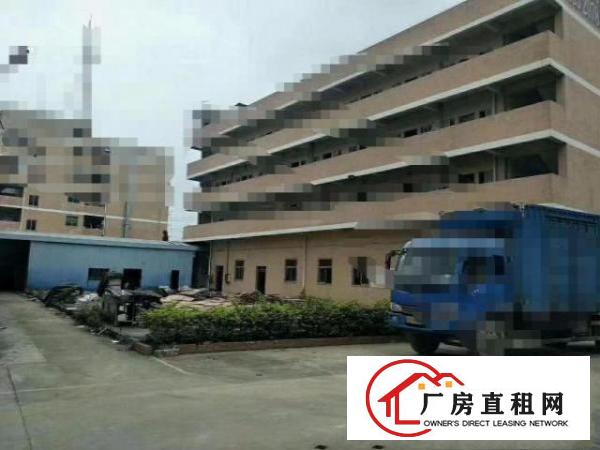  凤岗天堂围珍珠棉纸箱塑胶建筑材料家具钢构厂房出租