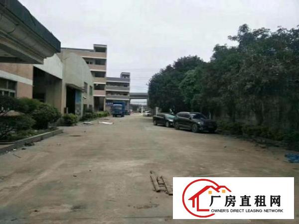  凤岗天堂围珍珠棉纸箱塑胶建筑材料家具钢构厂房出租