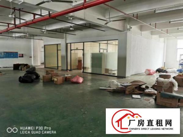  出租Ⅰ凤岗新出1000厂房，适合五金、重工业、贸易、电子厂房