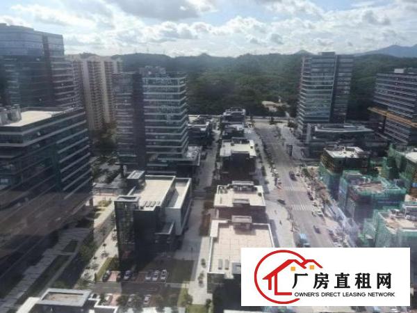  凤岗雁田写字楼出租100-500平方