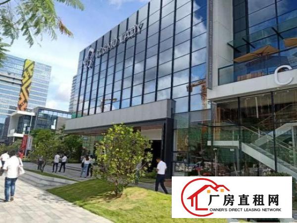  凤岗雁田写字楼出租100-500平方