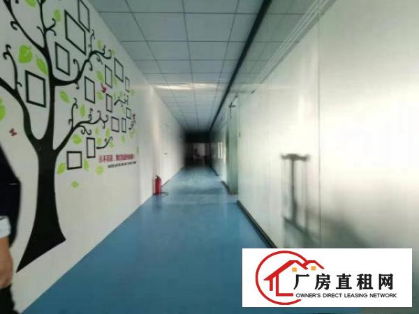  ~凤岗工业区1000平方精装修3楼厂房，紧挨大路，好招工~