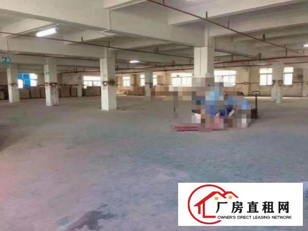  凤岗五联独院厂房出租6000平注塑电子玩具五金包装