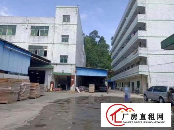  凤岗五联独院厂房出租6000平注塑电子玩具五金包装