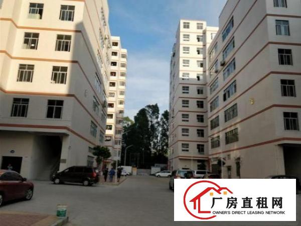  凤岗竹塘刷绿色地坪漆厂房出租1500平水电齐全