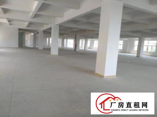  凤岗镇国有证全新厂房形象好