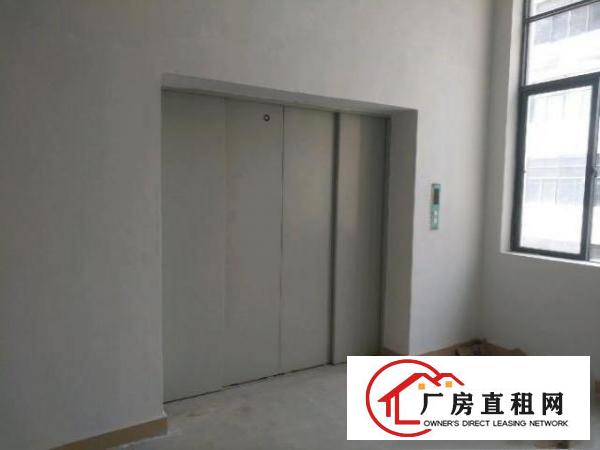  凤岗镇国有证全新厂房形象好