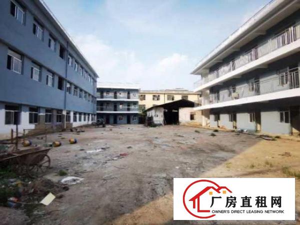  官井头独门独院厂房招租