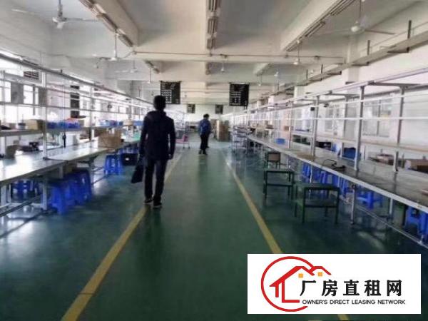  笋盘：凤岗工业园1500平方米带装修3楼标准厂房出租