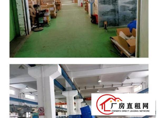  工业园内，独栋1至4层共6400平方