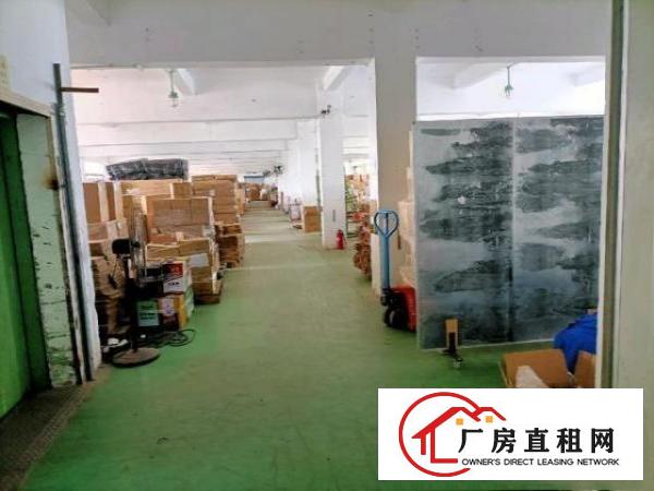  工业园内，独栋1至4层共6400平方
