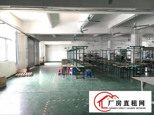  凤岗嘉辉豪庭独门独院厂房出租3600平　官井头大运