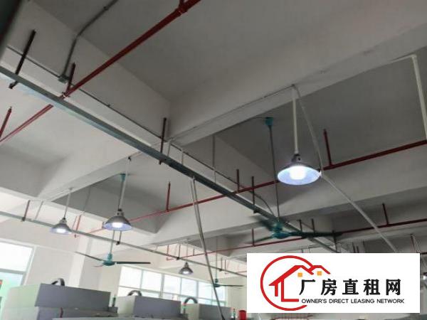  凤岗金凤凰工业园五金加工电子组装厂房出租680平精装修