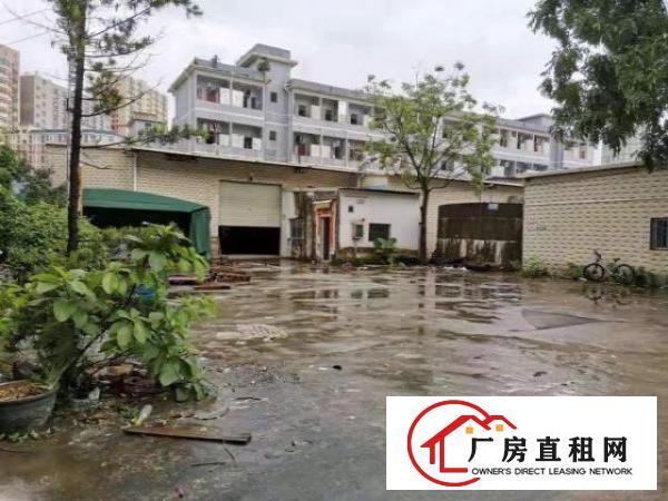  凤岗镇中心竹塘独门独院钢结构厂房仓库出租1000平