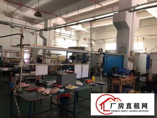  凤岗竹塘浸校塘一二楼厂房出租3000平方可分租