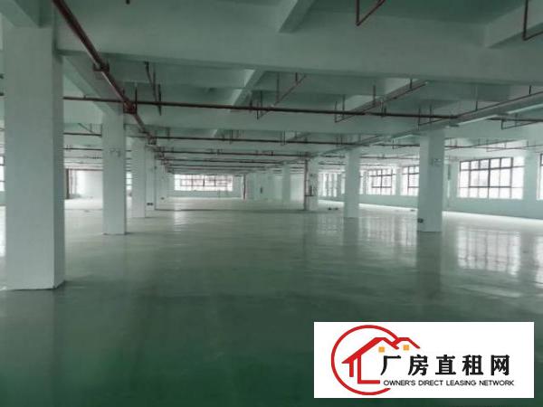  塘沥原房东标准厂房出租1000平方现成五金喷油抛环评