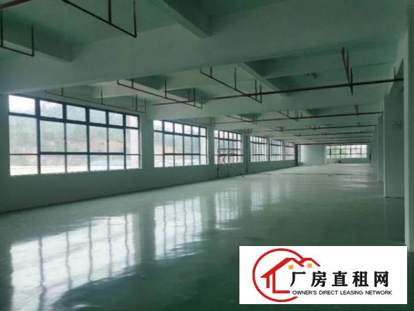  塘沥原房东标准厂房出租1000平方现成五金喷油抛环评