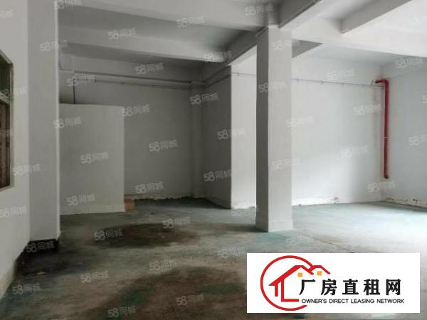  凤岗竹塘村标准一楼180平厂房出租
