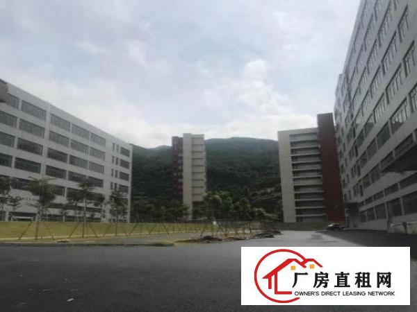  大型工业园厂房3栋宿舍1栋共12万㎡