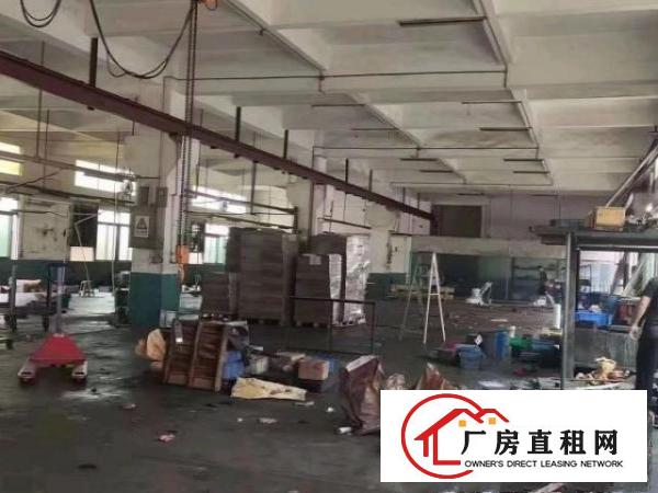  金凤凰一楼1300平出租
