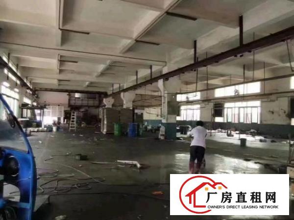  金凤凰一楼1300平出租